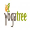 Yoga Tree