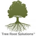 Tree Root Solutions, LLC