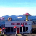 Magic Mushroom/Oregon Gifts 