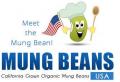 Mung Beans USA