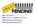 CRAZY FENCING