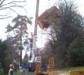 ATC Tree Surgeons