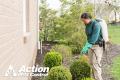 Action Pest Control