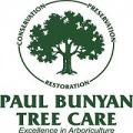 Paul Bunyan Tree Care