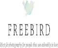 Free Bird Photography