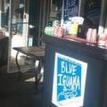 Blue Iguana