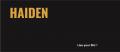 Haiden Group