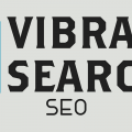 Vibrant Search SEO