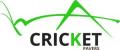 Cricket Pavers Of Boca Raton