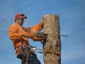 MBI Tree Service