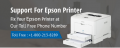 Epson Printer Technical Support Phone Number 1-800-243-0019