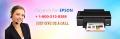 Epson Printer Technical Support Phone Number 1-800-243-0019