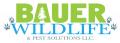 Bauer Wildlife & Pest Solutions LLC