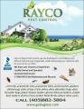 Rayco Pest Control