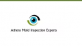 Athens Mold Inspection Experts