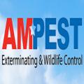 Ampest Exterminating & Wildlife Control
