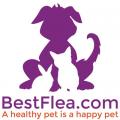 BestFlea