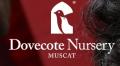 Dovecote Nursery