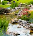 Living Waters Pond Supplies