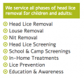 Lice Free Noggins NYC - Natural Lice Removal and Lice Treatment Service