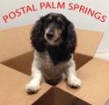 POSTAL PALM SPRINGS