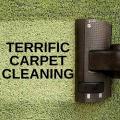 Terrific Carpet Cleaning