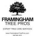 Framingham Tree Pros