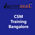 CSM Certification in Bangalore