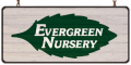 Evergreen Nursery