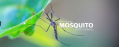 Mosquito Professionals Inc.