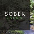 SOBEK Salon