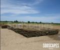 SodScapes Texas