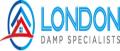 London Damp Specialist