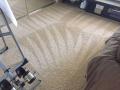 Carpet Cleaning Santa Clarita