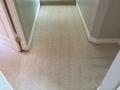 Carpet Cleaning Torrance