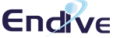 Endive Software