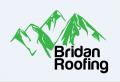 Bridan Roofing Loveland