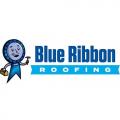 Blue Ribbon Roofing • Roof Repairs • Storm Damage • Roof Replacement • Commercial Roofing