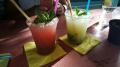 Miami Mojito Company