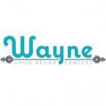 Wayne Drug Rehab Centers