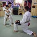 Classical Martial Arts Centre - Hasu Dojo
