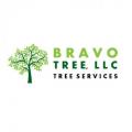 Bravo Tree LLC