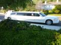 Palomar Limousine Service