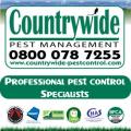 Countrywide Pest Control - Reading