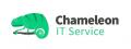 Chameleon IT Service