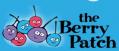 Berry Patch Preschool and Long Day Care Centre