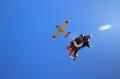 Skydive Franz
