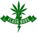 Flash Buds