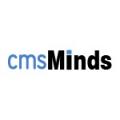 cmsMinds - Drupal Development Company in USA