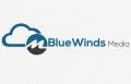 Blue Winds Media